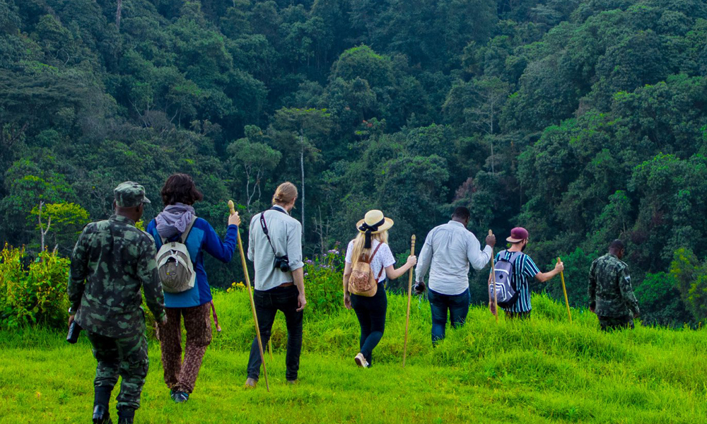 Gorilla Trekking Rwanda