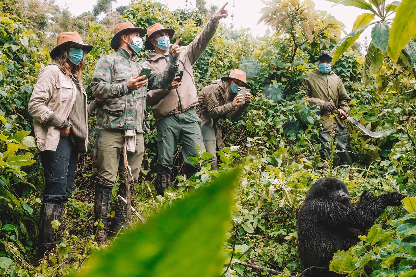 Safety Comparison: Uganda vs. Rwanda vs. Kenya