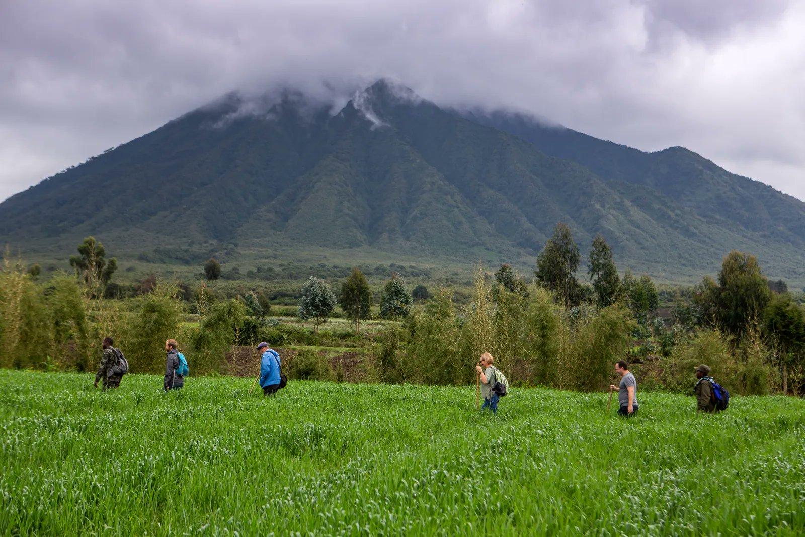 Which Country Is Better for Gorilla Trekking: Uganda or Rwanda? | Rwanda's Landscape