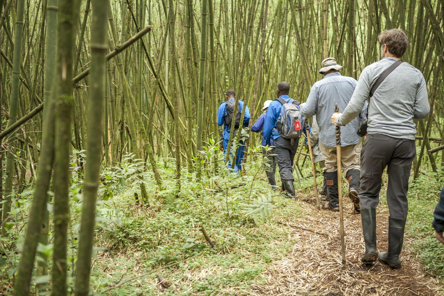 Rwanda Uganda Safari Cost