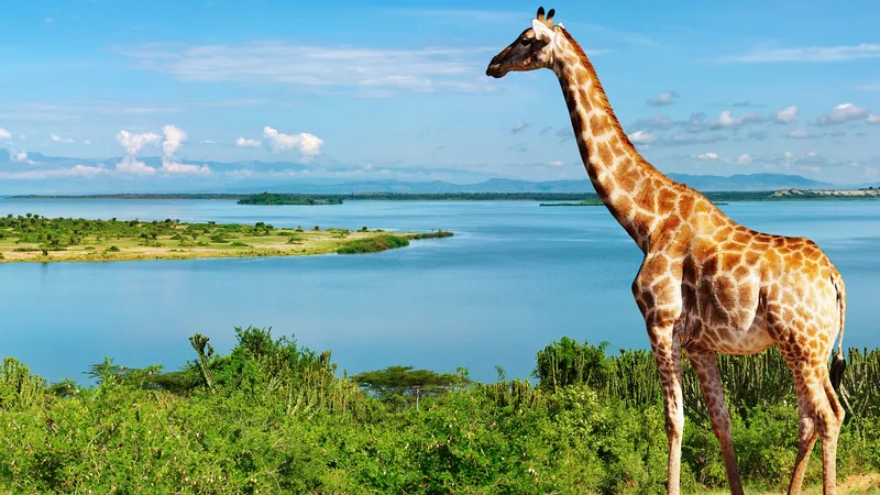 Lake Victoria Map – Location, Countries, Islands and Travel Guide