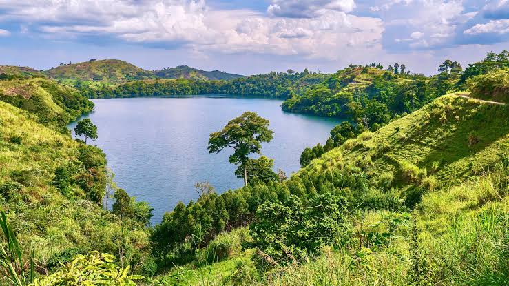 12 Days Uganda Lake Victoria and Gorilla Safari