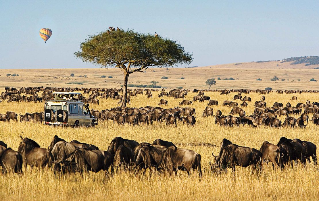 3 Days Maasai Mara Kenya Wildlife Safari
