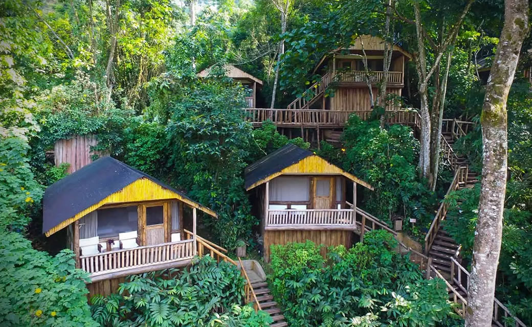 Which Gorilla Lodge is Best for Families?