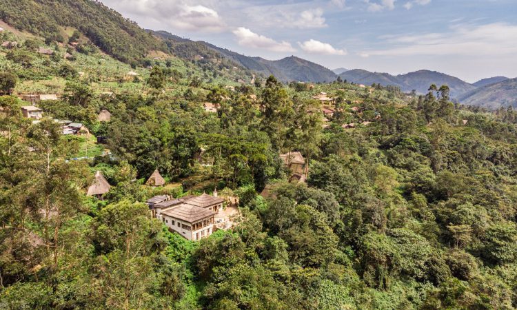 Luxury vs Mid-Range vs Budget Gorilla Lodges