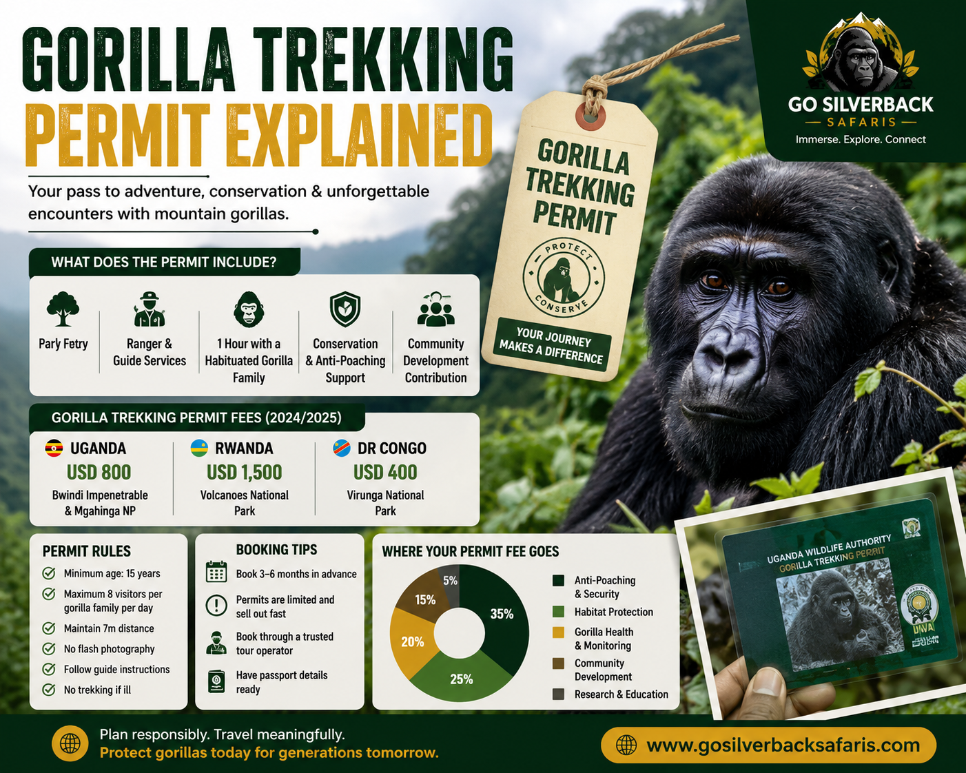 Gorilla Trekking Permit Explained: What Does It Include?