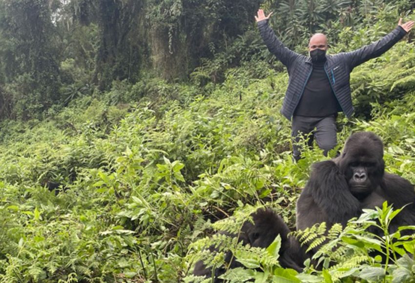 How Close Can You Get to Gorillas