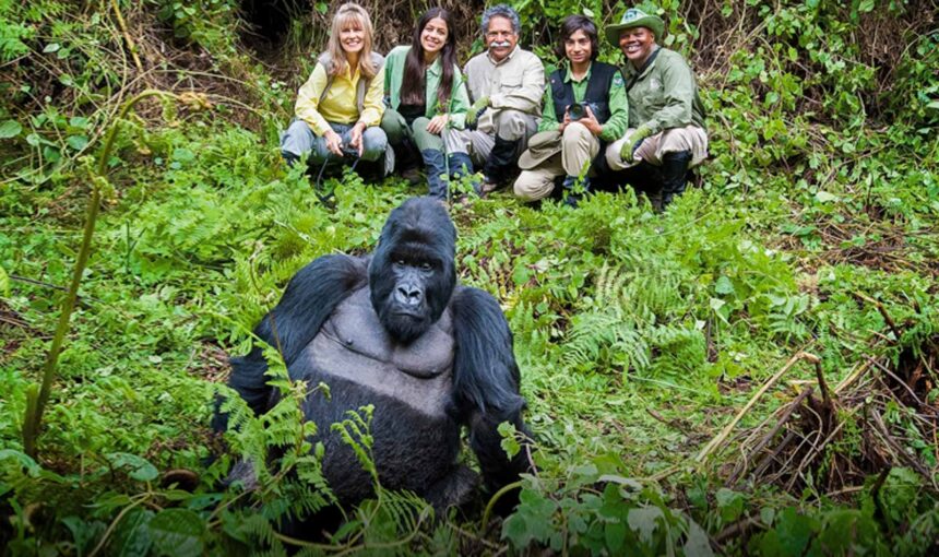 Gorilla Trekking Age Limit