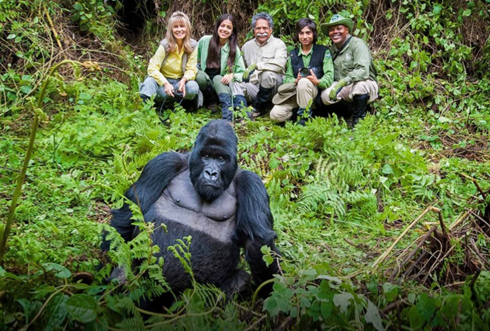 Gorilla Trekking Age Limit