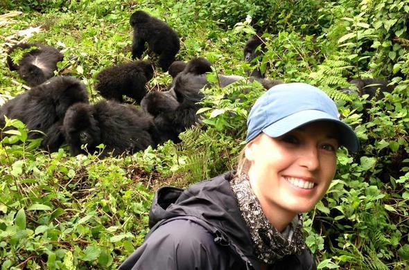 How Close Can You Get to Gorillas