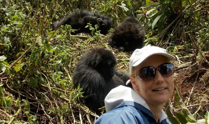 Where to See Mountain Gorillas in Africa