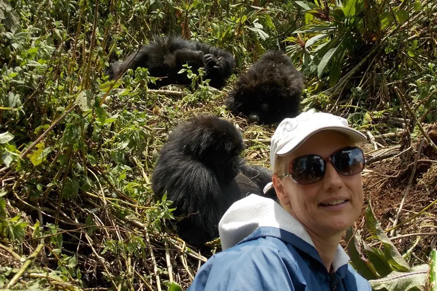 Where to See Mountain Gorillas in Africa