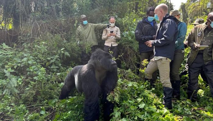 Gorilla trekking rules and regulations