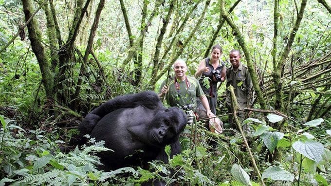 Uganda vs Rwanda | The Magical Hour – Face to Face with Mountain Gorillas