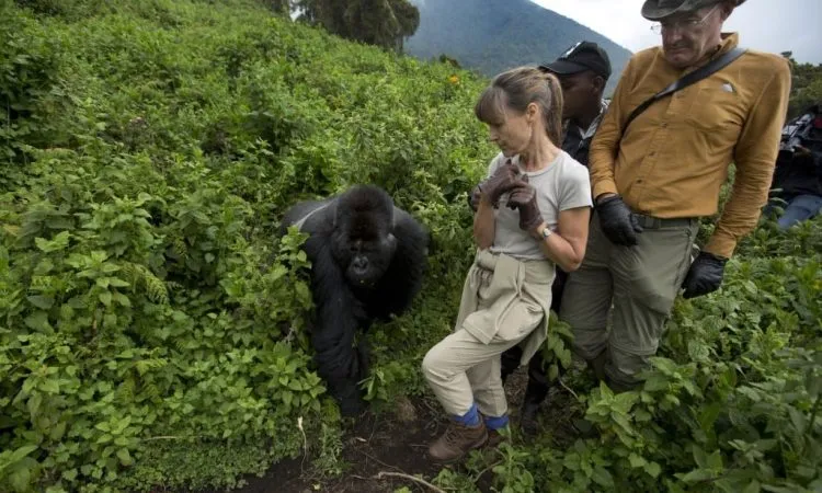Best Time to Book a Rwanda Gorilla Permit