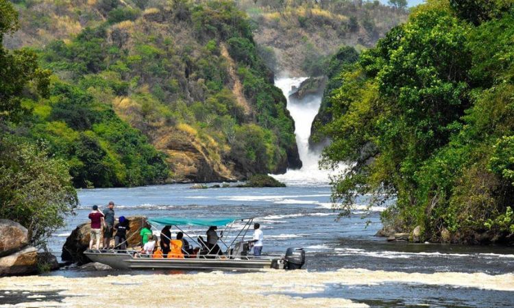 10 Days Uganda Rwanda Gorilla Safaris | Day 2: Murchison Falls National Park — Game Drive & Launch/Boat Safari