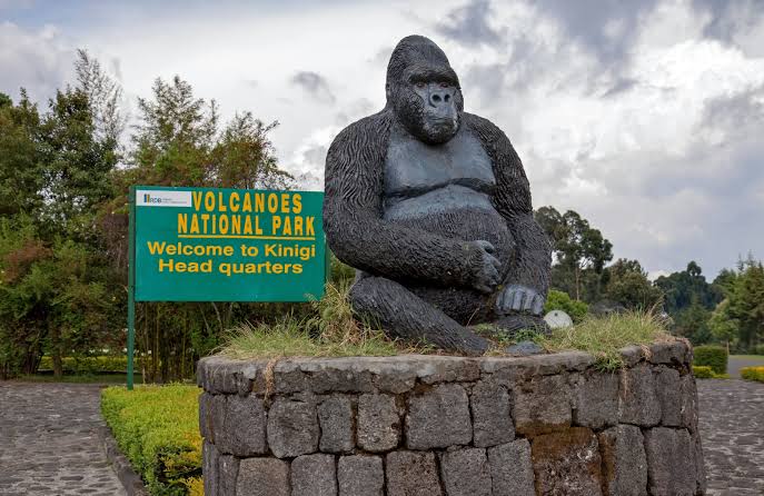 Best Time to Visit Volcanoes National Park