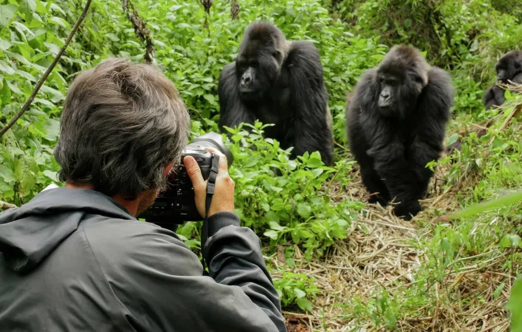 Booking With a Tour Operator vs DIY: What's Best Solo?