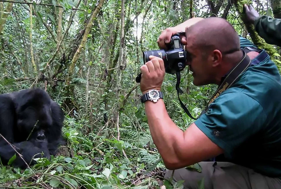 Gorilla Trekking Photography Tips: How to Take Great Photos?