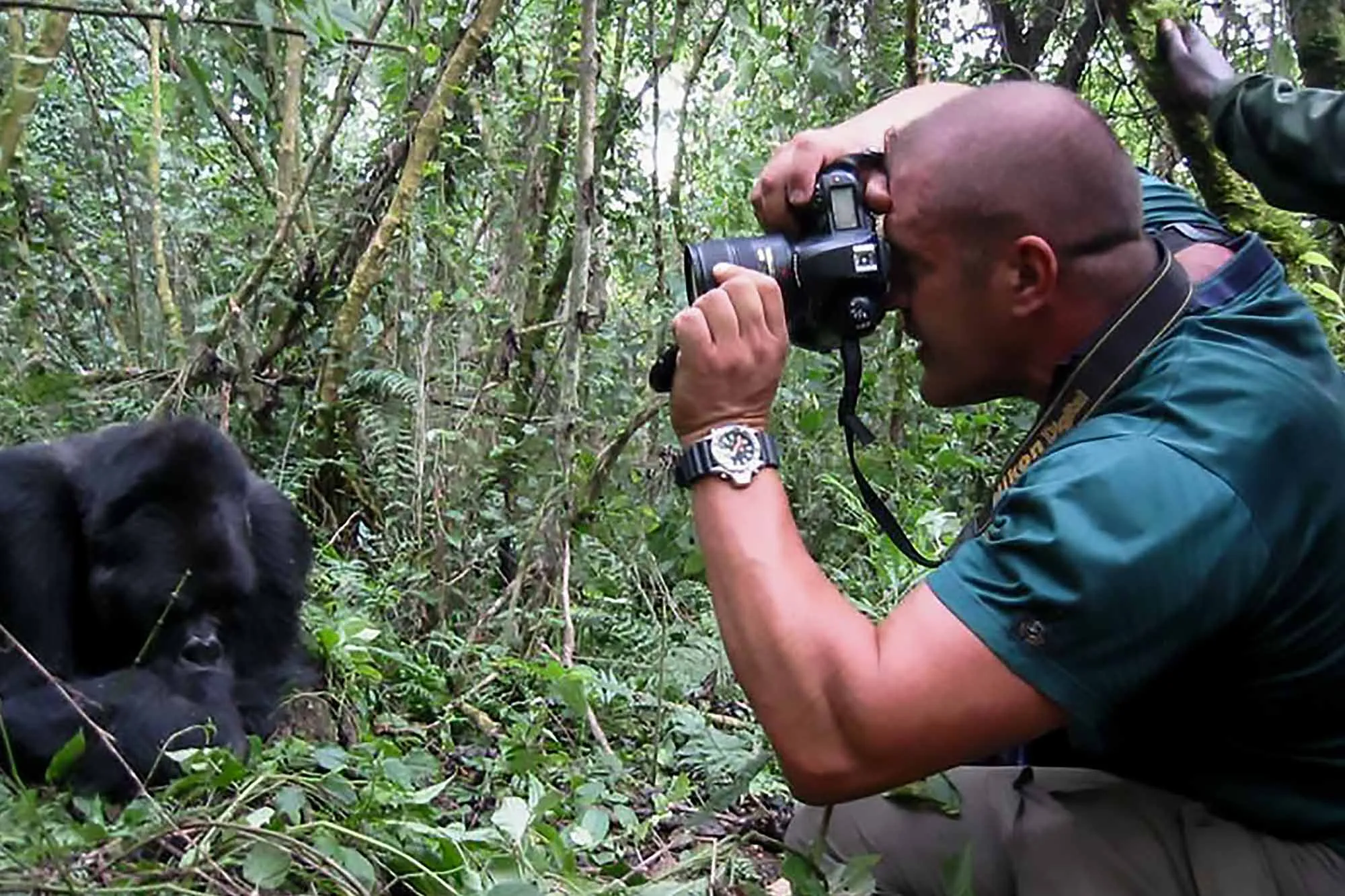 Gorilla Trekking Photography Tips: How to Take Great Photos?