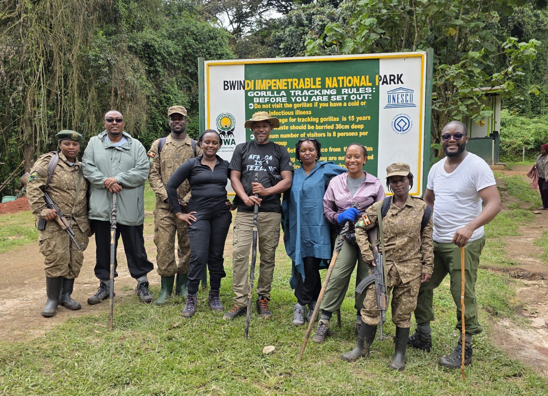 Gorilla Trekking vs Other Wildlife Tourism