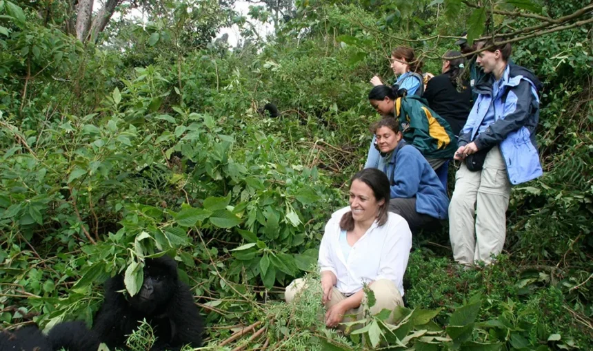 How Long is Gorilla Trekking