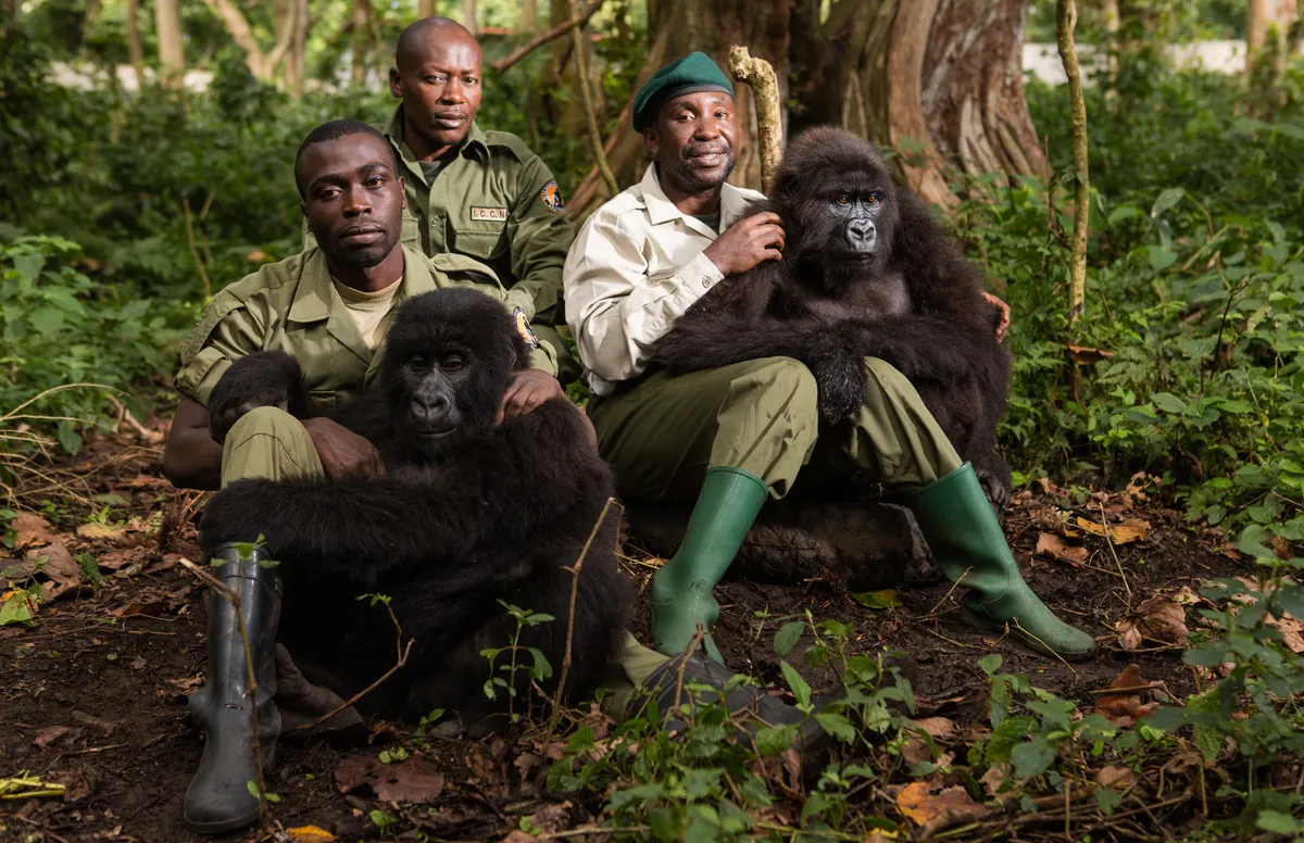 Gorilla Trekking and Anti-Poaching