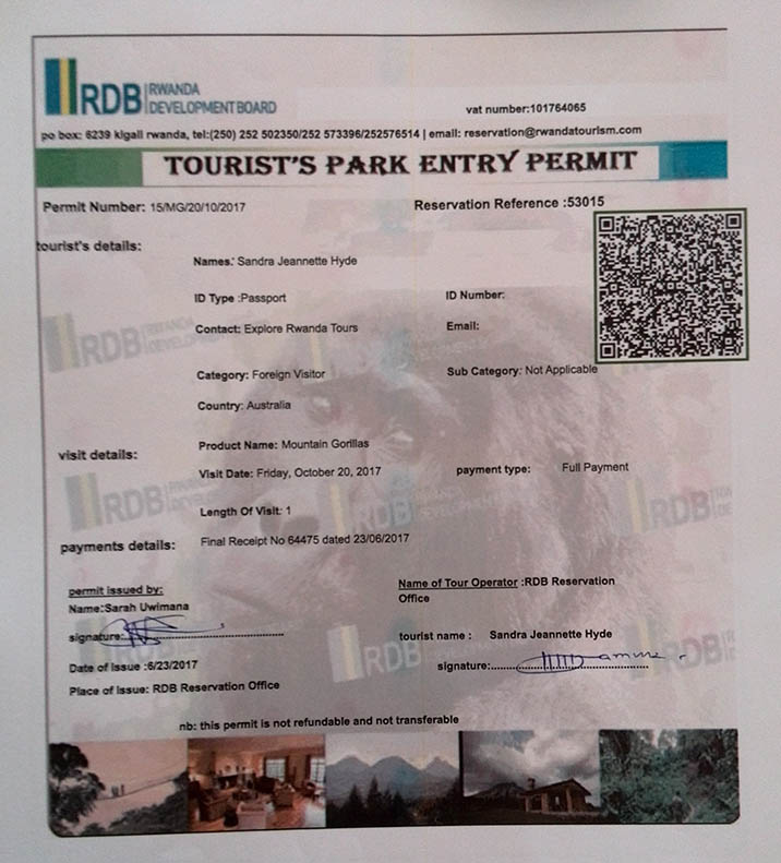 How Much Is a Rwanda Gorilla Permit?