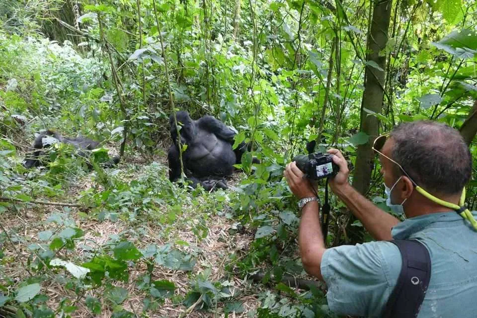 Safety: Is Solo Gorilla Trekking Actually Safe?