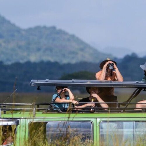 15 Days Uganda Rwanda Safari