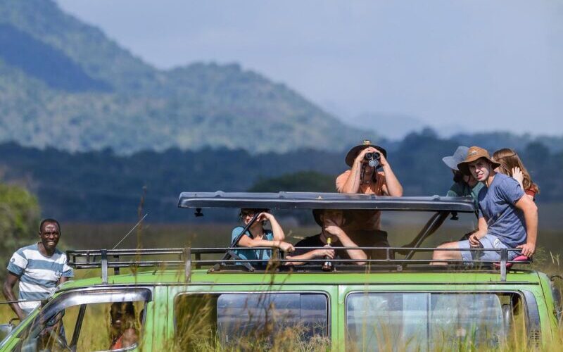 15 Days Uganda Rwanda Safari