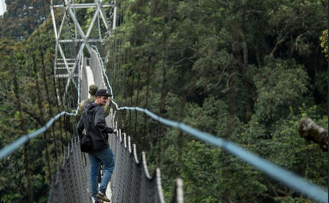 Nyungwe Forest vs Volcanoes National Park
