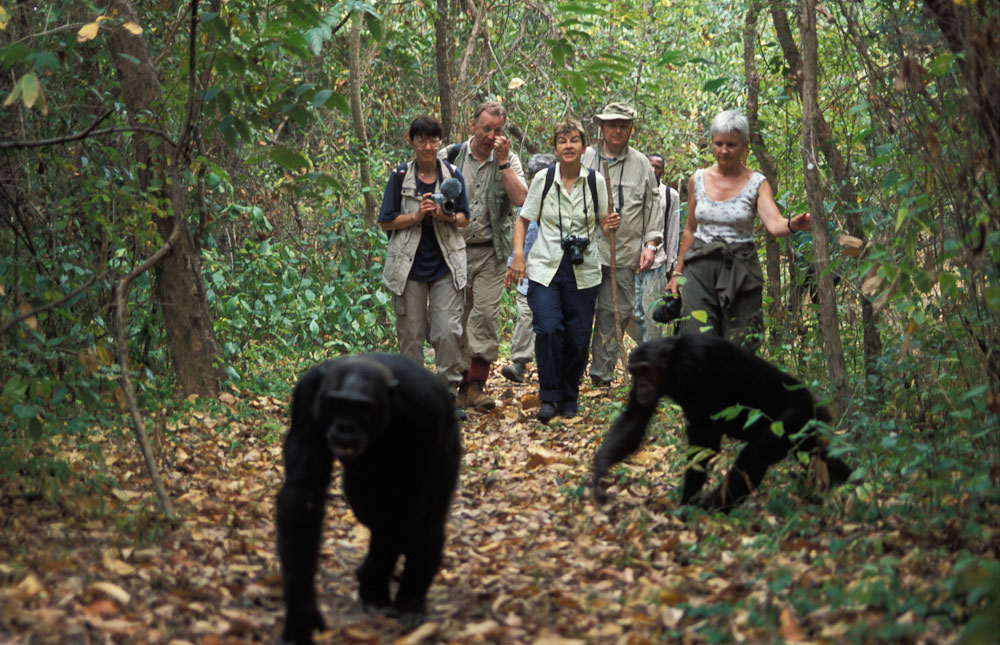 15 Days Uganda Rwanda Safari